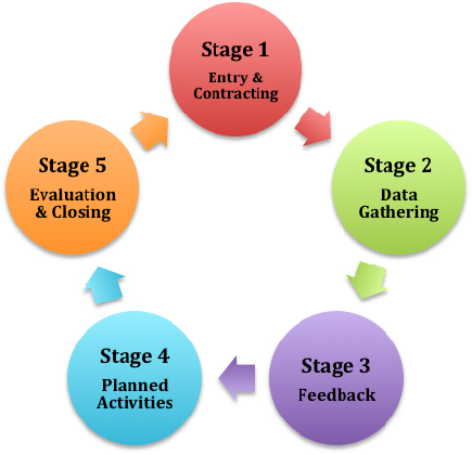 process cycle